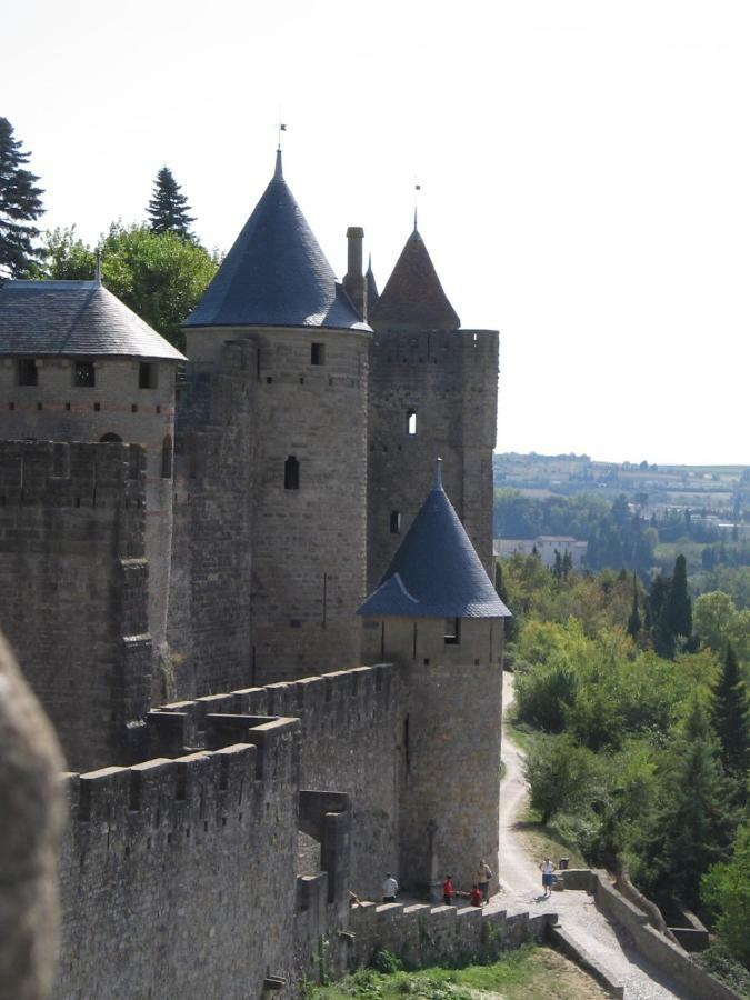 Maison De La Fontaine Embres-et-Castelmaure Buitenkant foto