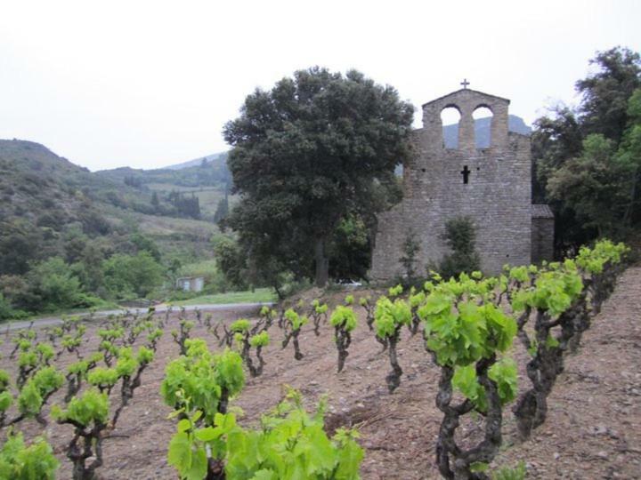 Maison De La Fontaine Embres-et-Castelmaure Buitenkant foto